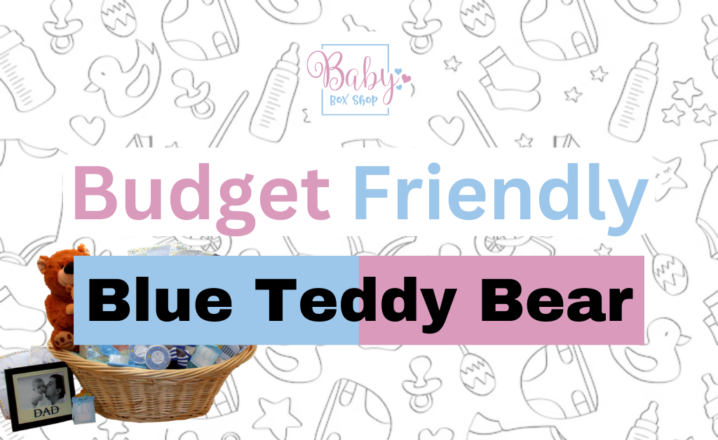 Budget-Friendly Blue Teddy Bear That Are Still Thoughtful