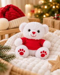 9PZ08-X , Detail Shot ,

Close-up of the plush teddy in its red t-shirt, approximately 15cm tall